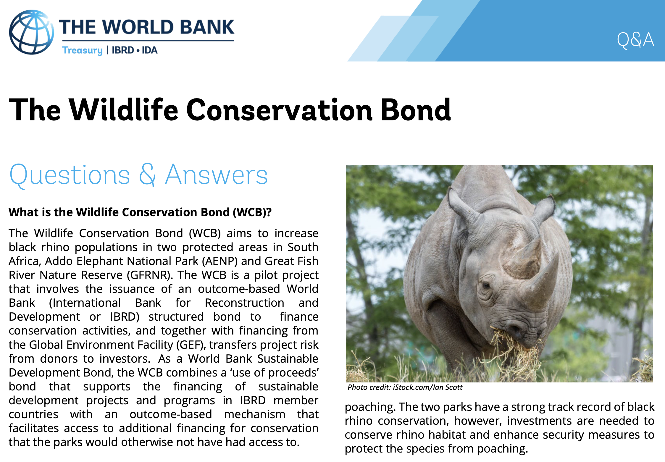 World Bank's Rhino Bond - Innovative Finance for Conservation